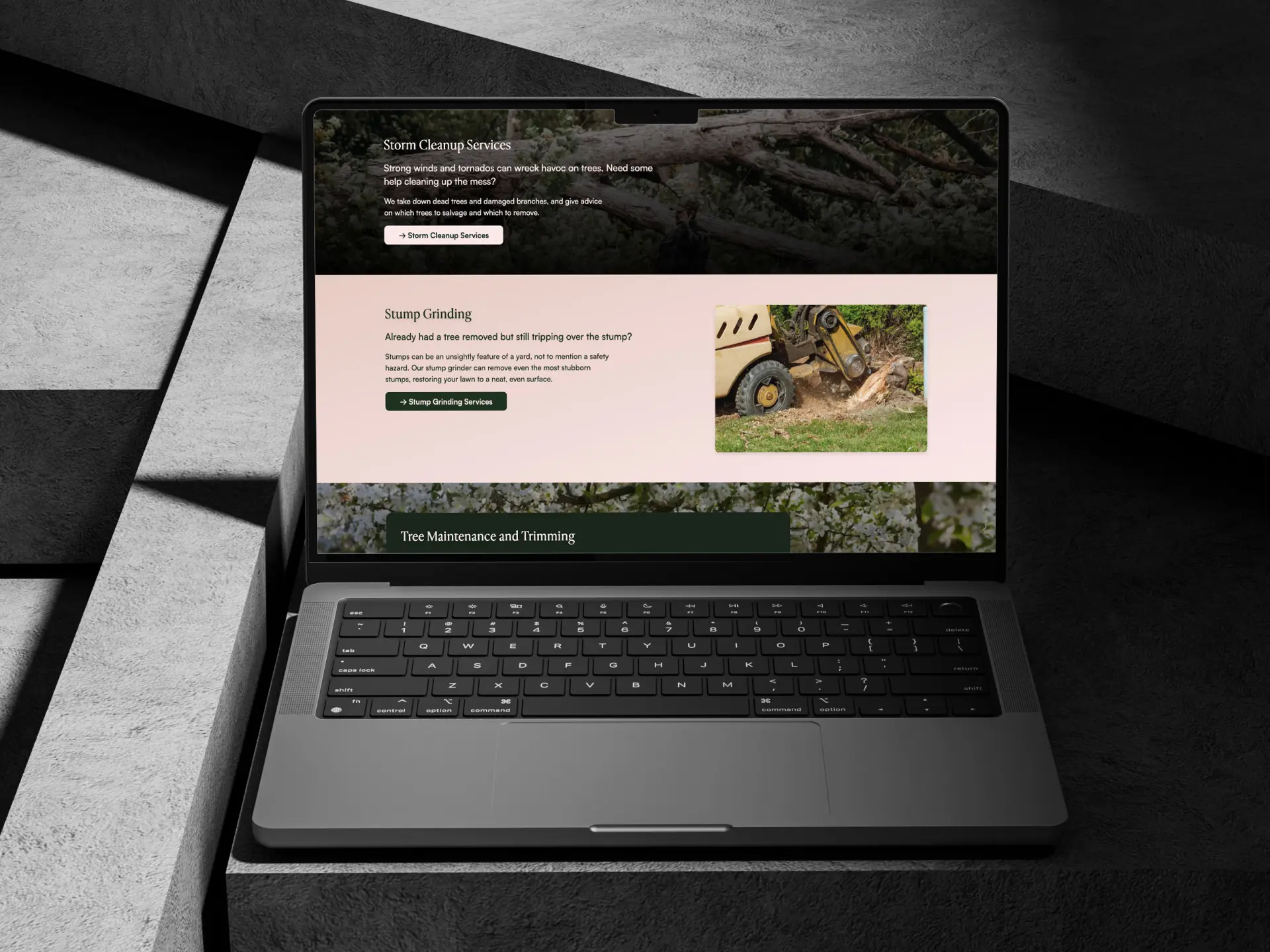 A MacBook open to the Summit Tree Care website